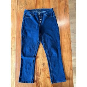 Copperflash Womens Button Fly Blue Jeans Size 8